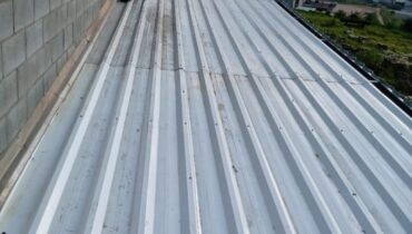 Estrutura Metálica e Telhado